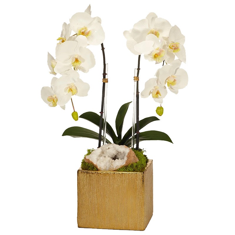 ORCHIDSGLD